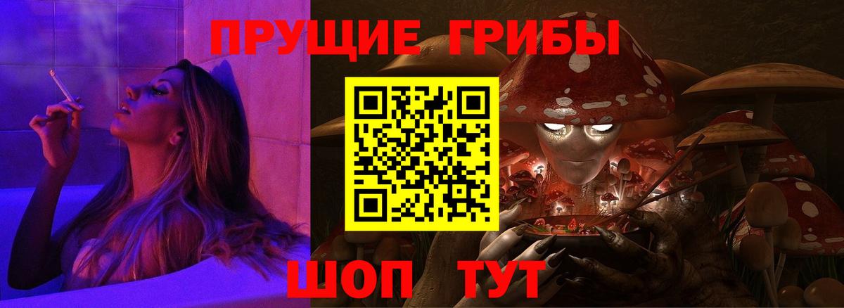 Псилоцибиновые грибы MAGIC MUSHROOMS Черняховск